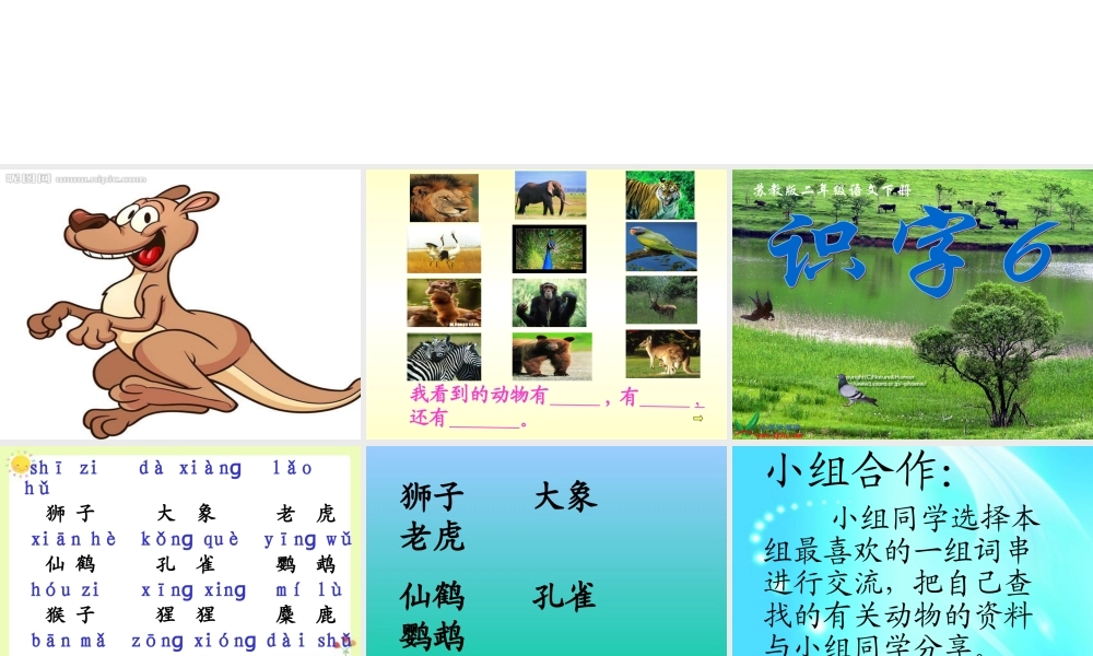 苏教版二年级语文下册识字6课件（公开课）