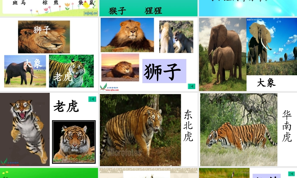 苏教版二年级语文下册识字6课件（公开课）