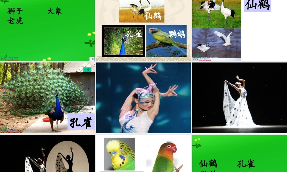 苏教版二年级语文下册识字6课件（公开课）