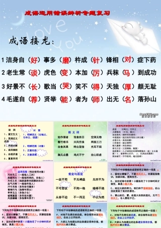 成语运用错误辨析专题复习 新课标 人教版 课件