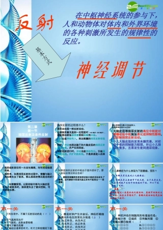 八年级生物 第一学期(试验本)第2章第二节 神经系统 神经调节的基本方式课件 上海版 课件