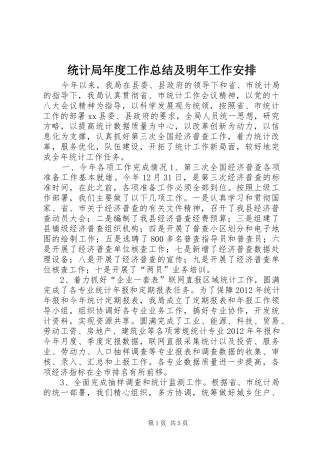 统计局年度工作总结及明年工作安排