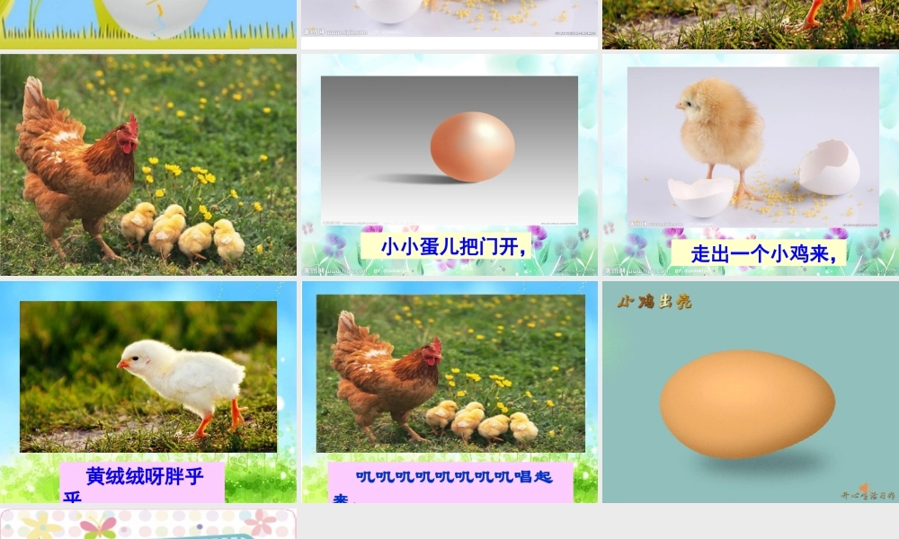 《小班音乐：小小蛋儿把门开》