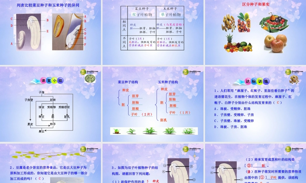 八年级生物上册 第三节 果实和种子的形成课件 济南版 课件
