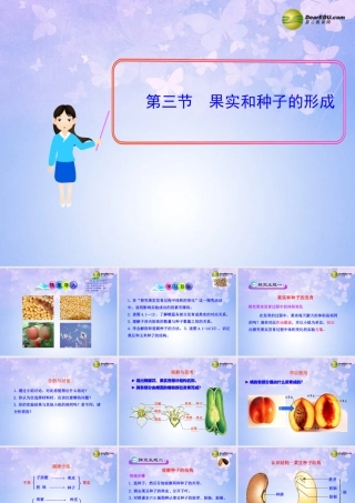 八年级生物上册 第三节 果实和种子的形成课件 济南版 课件
