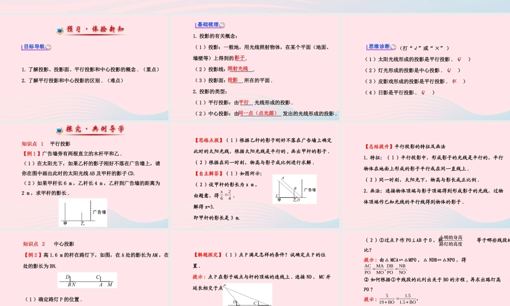 九年级数学下册 第29章投影与视图 291 投影第1课时习题课件 新人教版 课件