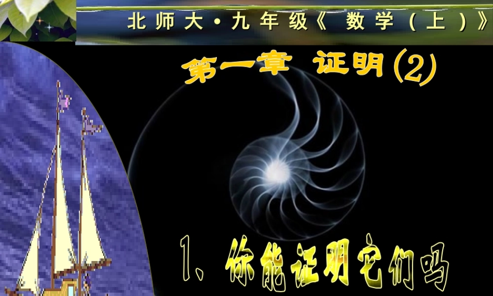 八年级数学你能证明它们吗课件1鲁教版 课件