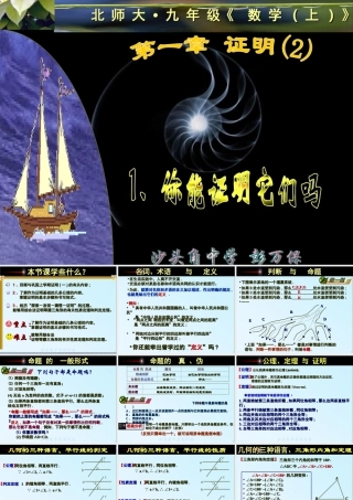 八年级数学你能证明它们吗课件1鲁教版 课件