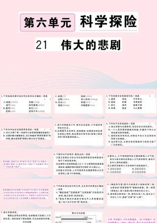 文下册 第六单元 21 伟大的悲剧习题课件 新人教版 课件
