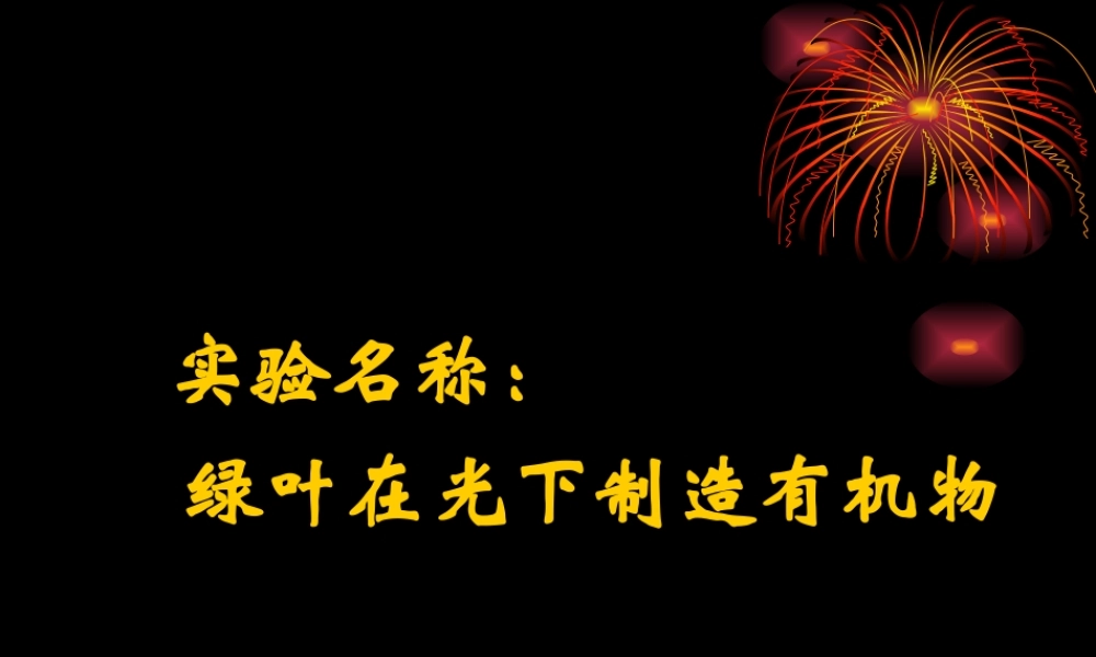 实验《绿叶在光下制造有机物》课件