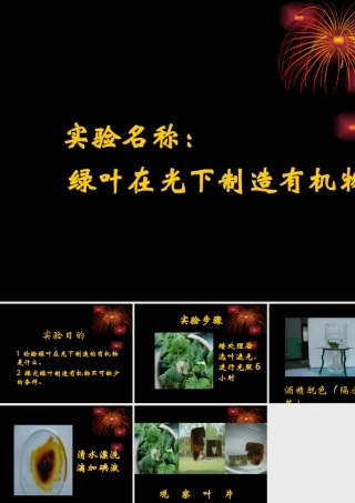 实验《绿叶在光下制造有机物》课件