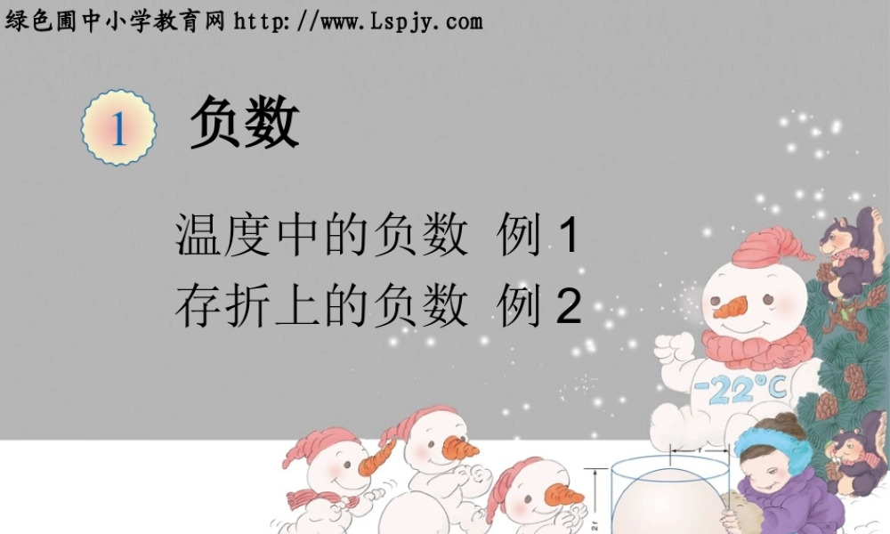 负数例1、例2 (2)