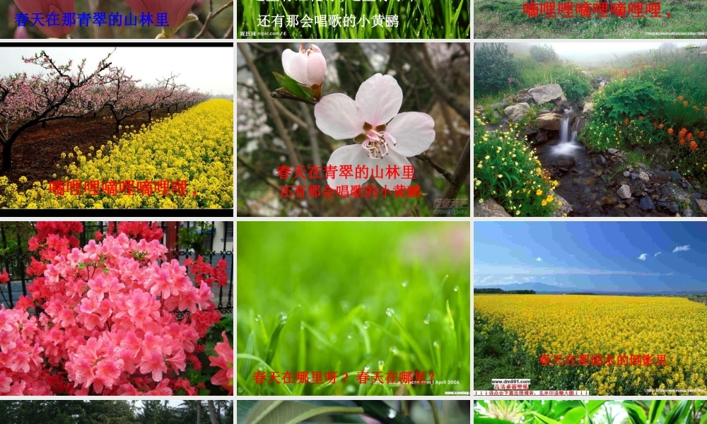 -找春天课件公开课