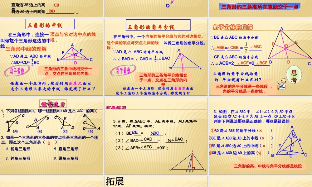 11.1.2三角形的高、中线与角平分线2