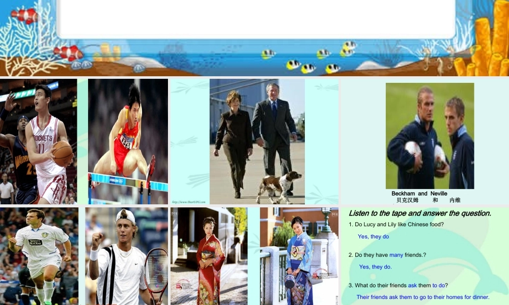 人教版初三英语公开课Lesson95 课件