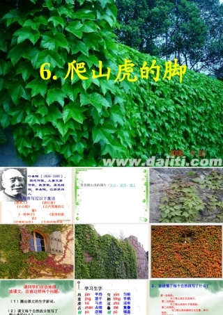 6《爬山虎的脚》教学课件1