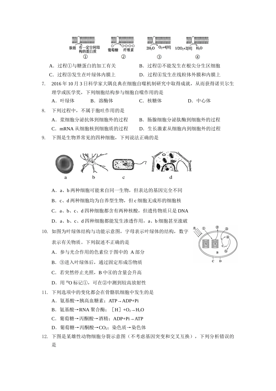 北京市朝阳区2017届高三上学期期中考试生物试题.doc_第2页