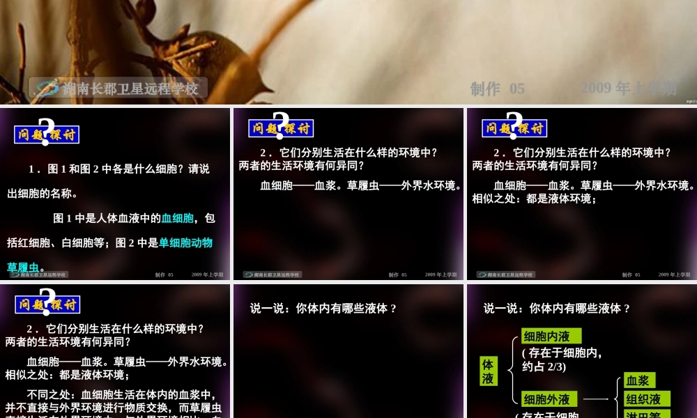 高一生物必修三第一章第一节细胞生活的环境课件