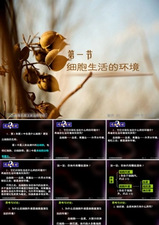 高一生物必修三第一章第一节细胞生活的环境课件