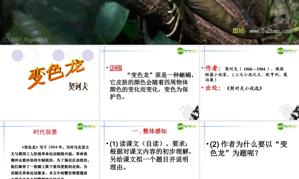 九年级语文 变色龙 课件 人新课标教 课件