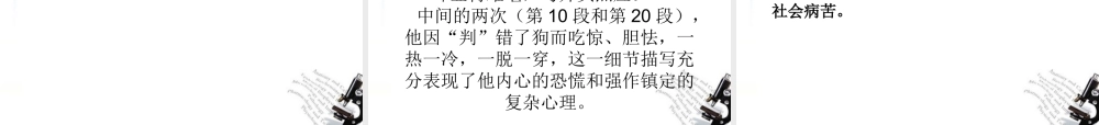 九年级语文 变色龙 课件 人新课标教 课件