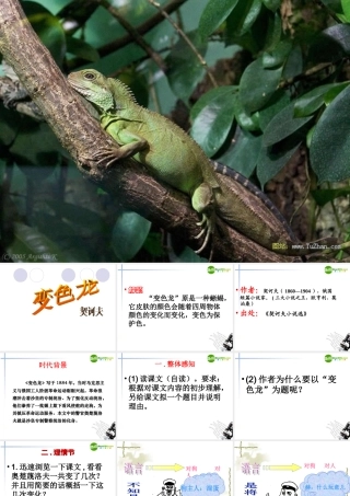 九年级语文 变色龙 课件 人新课标教 课件
