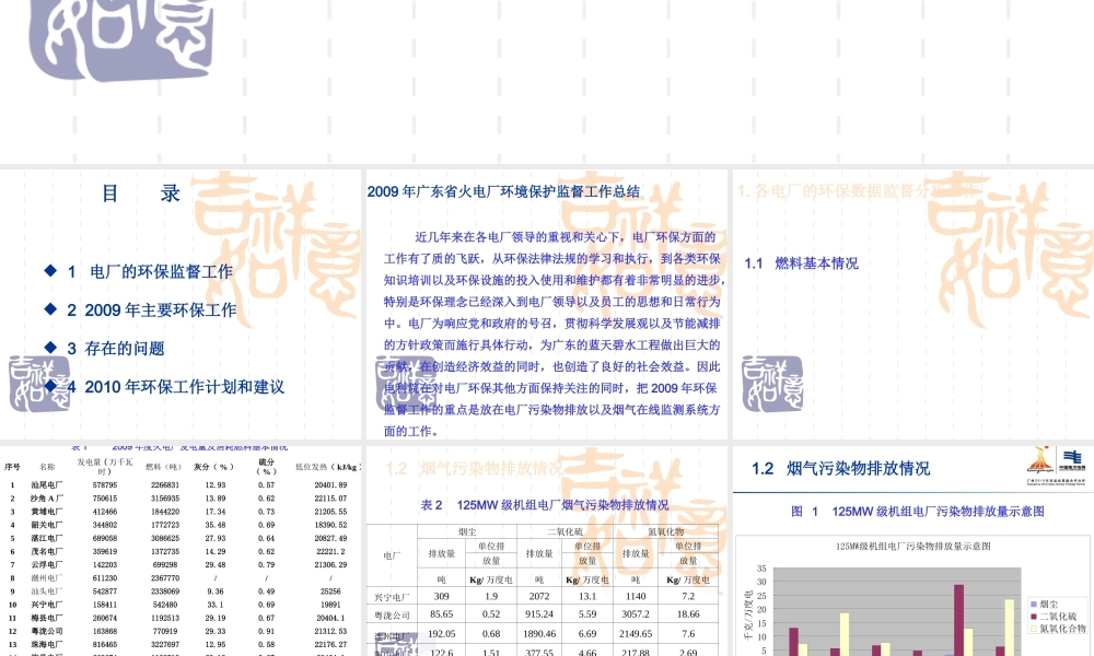 2009火电厂环保监督总结