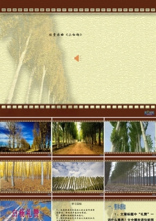 14.白杨礼赞-课件(34张)