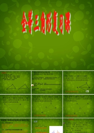 八年级数学上册 11.1 全等三角形复习课件 新人教版 课件