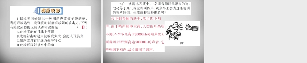 中学八年级物理上册 2.3 声的利用课件 (新版)新人教版 课件