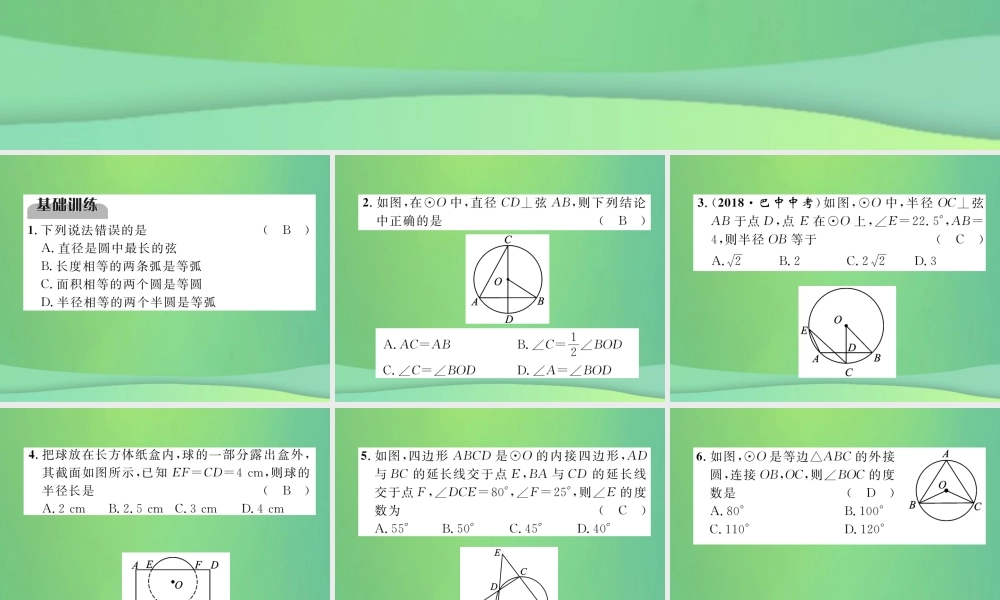 中考数学复习 第7章 圆 第24课时 圆的有关概念及性质(精练)课件
