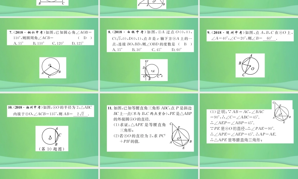 中考数学复习 第7章 圆 第24课时 圆的有关概念及性质(精练)课件