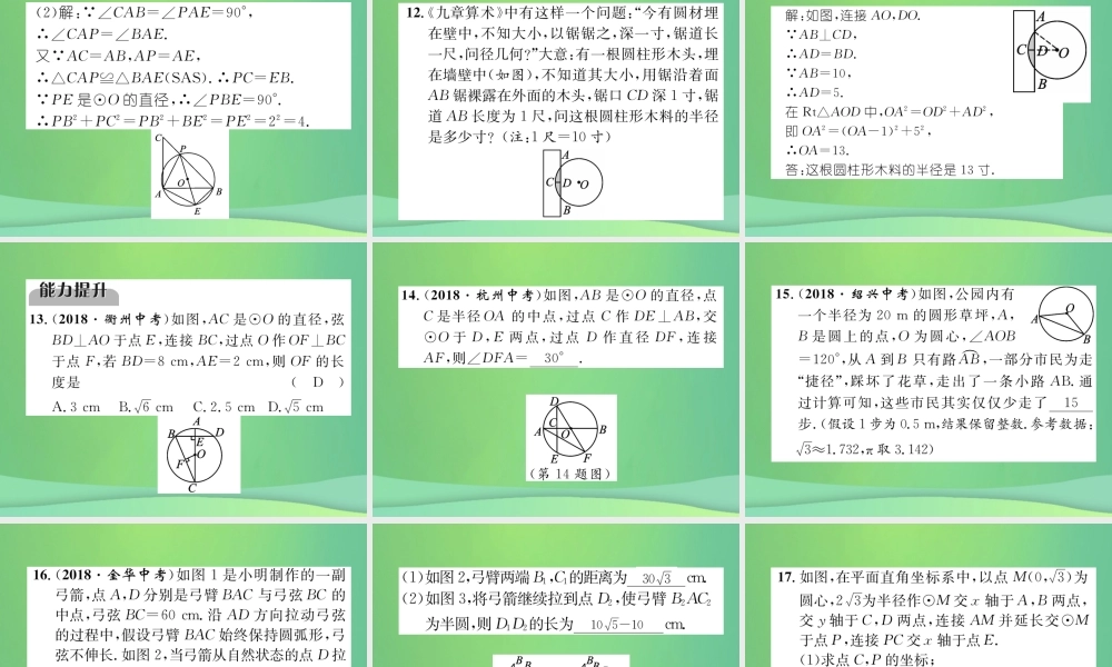 中考数学复习 第7章 圆 第24课时 圆的有关概念及性质(精练)课件