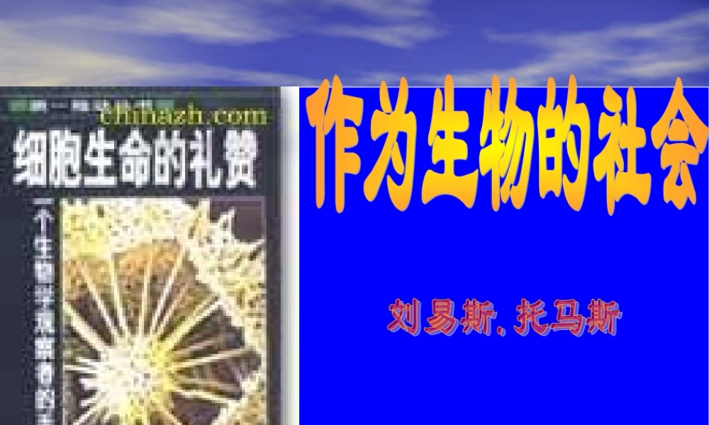 人教版必修五《作为生物的社会》教学课件