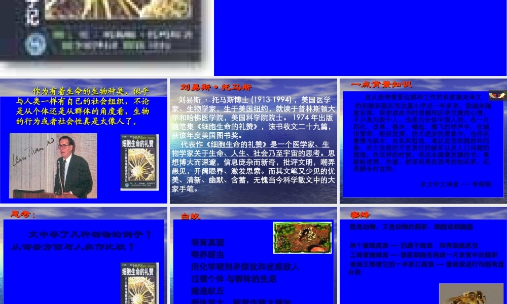 人教版必修五《作为生物的社会》教学课件