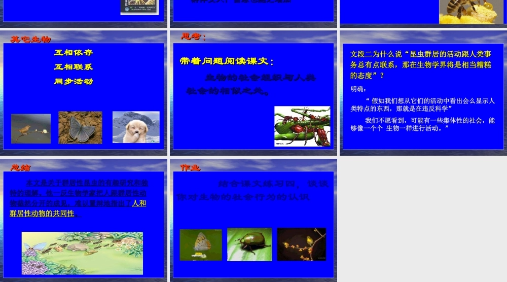 人教版必修五《作为生物的社会》教学课件