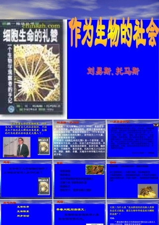 人教版必修五《作为生物的社会》教学课件