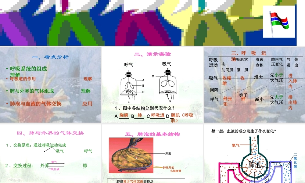 七年级生物下册_第四单元  第二节 发生在肺内的气体交换课件人教版 课件
