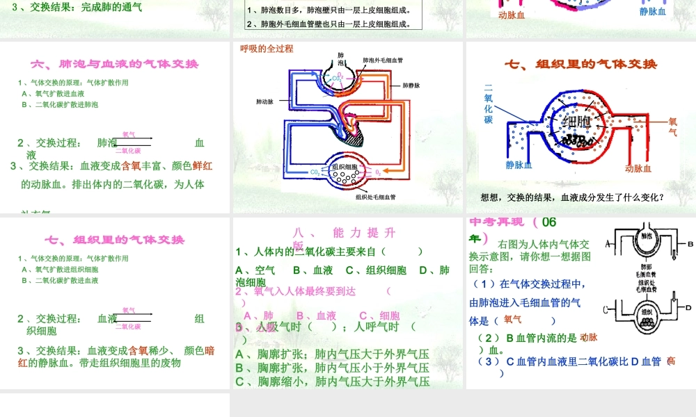 七年级生物下册_第四单元  第二节 发生在肺内的气体交换课件人教版 课件