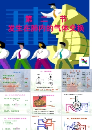 七年级生物下册_第四单元  第二节 发生在肺内的气体交换课件人教版 课件