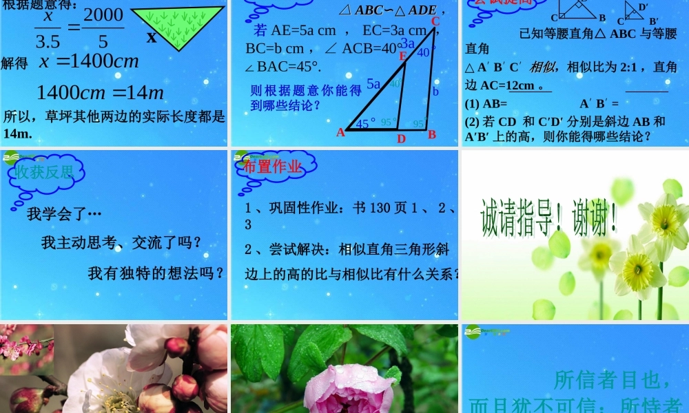 八年级数学下册 4-5相似三角形 课件 北师大版 课件