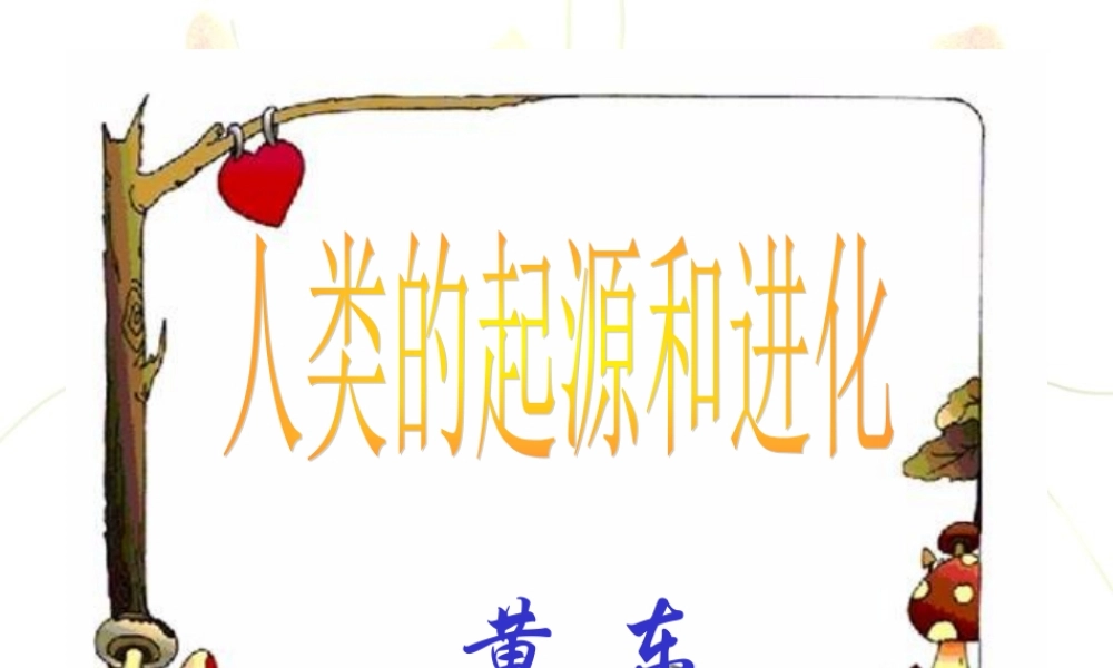 人类的起源和进化课件