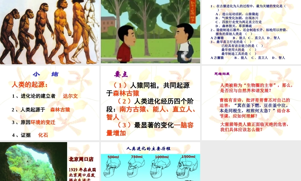 人类的起源和进化课件