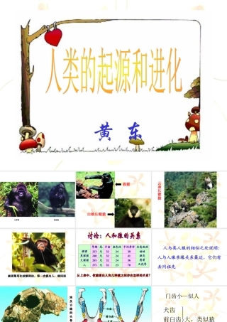 人类的起源和进化课件