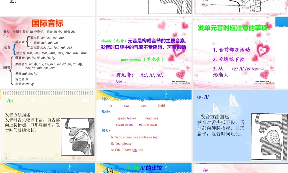 英语音标教学课件