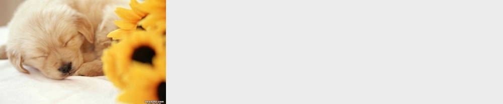 中学高三数学不等式第五章总复习课件[整理五套]新课标 人教版