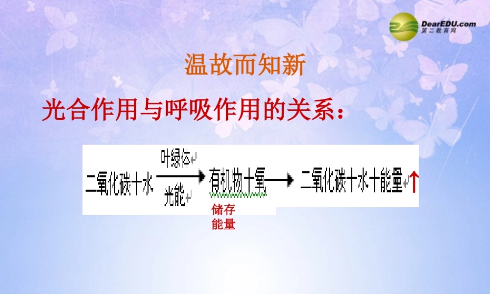 八年级生物上册 第三章 动物在自然界中的作用课件 新人教版 课件