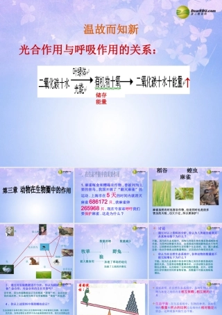 八年级生物上册 第三章 动物在自然界中的作用课件 新人教版 课件