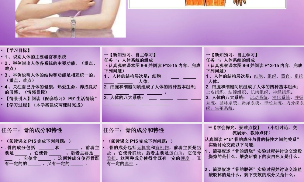 中学七年级生物下册 8.3 人体概述课件 苏教版 课件