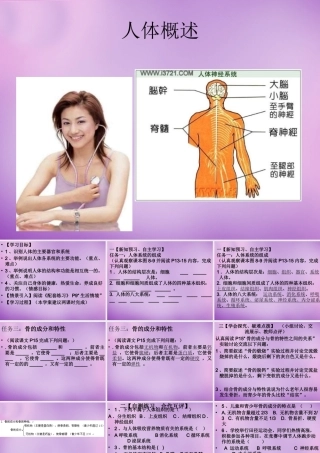 中学七年级生物下册 8.3 人体概述课件 苏教版 课件